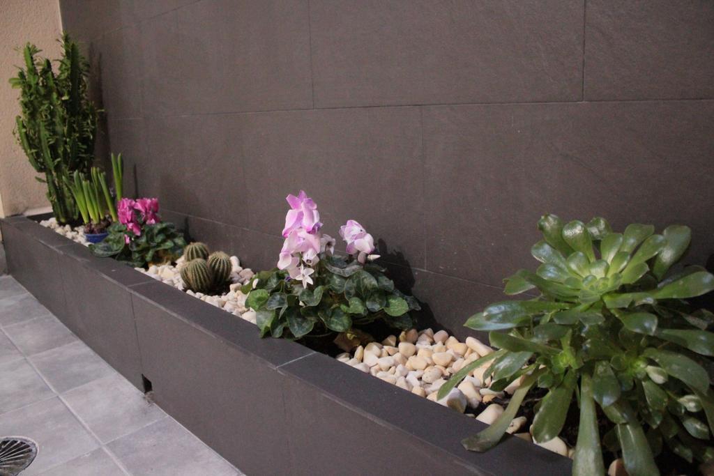 Hostal Pensimar إل ألتيت المظهر الخارجي الصورة